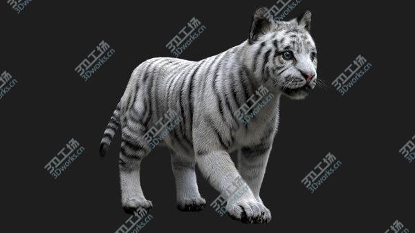 images/goods_img/20210312/3D White Tiger Baby Fur/2.jpg